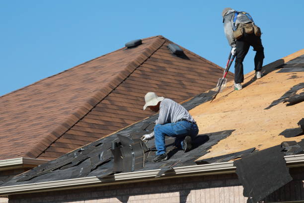 Best Skylight Installation and Repair  in Parkwood, WA